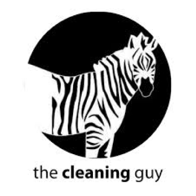 The Cleaning Guy